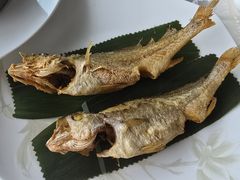 -上海新锦江大酒店