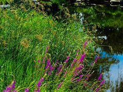 -北京植物园-展览温室