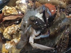 古法老灶蒸汽海鲜-前王院•巧克力海鲜市集餐厅(万平口店)