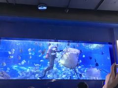 -重庆欢乐海底世界