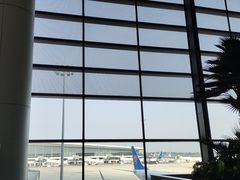 -郑州新郑国际机场-T2航站楼