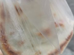 -眼镜粑粑