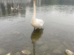 -银树楼(紫玉山庄东区店)