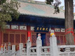 -关林
