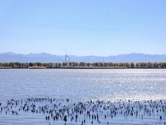 -野鸭湖国家湿地公园