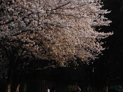 -昆山城市公园