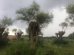 -飞天山旅游区