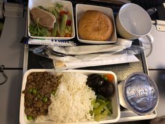 -新加坡航空公司(ION)