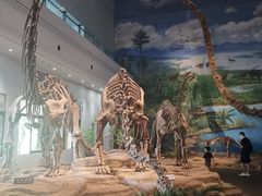 -自贡恐龙博物馆