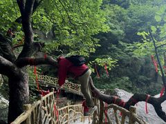 -洛阳白云山景区