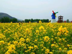 -狼牙山风景区
