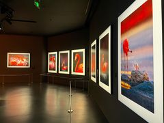 -罗红摄影艺术馆