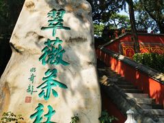 -八大处公园
