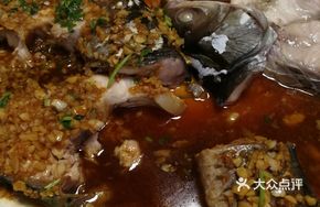 Freshwater Fish
