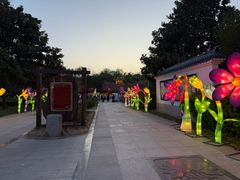 -洛阳市隋唐城遗址植物园