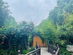 -聚缘堂·海鲜私房菜(松岭路店)