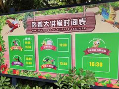 -广州长隆飞鸟乐园