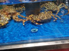 -盒马鲜生(顺义店)