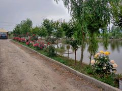 -同銮特种养殖场·龙虾垂钓