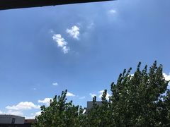 -东华大学(松江校区)