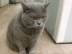 -小时光咖啡馆(开森度假森林店)