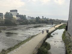-四条大桥