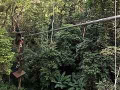 -西双版纳原始森林公园