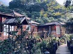 -天门沟九州驿站树上汤泉
