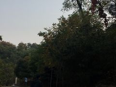 -北京鹫峰国家森林公园