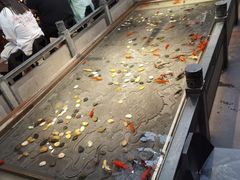 -四季民福烤鸭店(前门店)