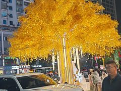 -友谊阳光城