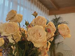 店内布置-云里小坐·小院里·团建·宴请·下午茶(三圣乡店)