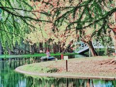 -上海共青森林公园