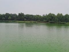 -燕郊植物园