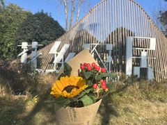 -三圣花乡旅游区