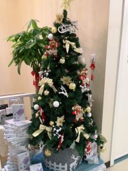 -紫洁俪方（北京）医疗美容