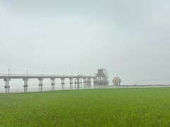 -seeu coffee(江滩店)