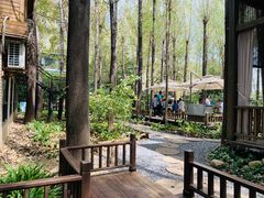 -林间山庄