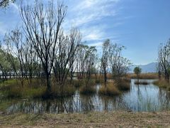 -野鸭湖国家湿地公园