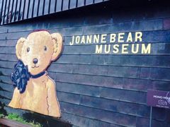 -济州岛泰迪熊博物馆