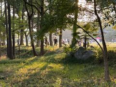 -东湖落雁景区
