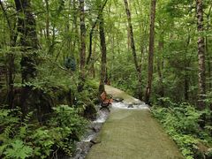 -叠溪松坪沟景区