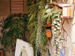 -白茶原·一片叶子