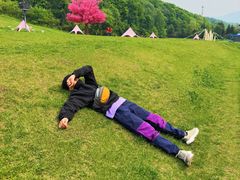 -吉林市朱雀山国家森林公园