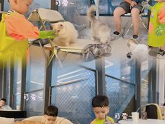 -怪兽屋·羊驼·猫咖·狗咖(俊华广场店)