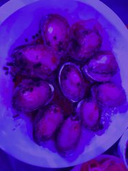 -格乐利雅婚礼艺术中心(浦东花木店)