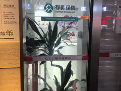 -中信银行(上海长寿路支行)