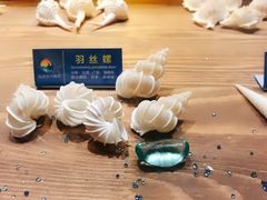 -左海海底世界
