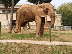 -石家庄市动物园