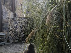 -MOJ coffee(瓯海泽雅水碓坑店)